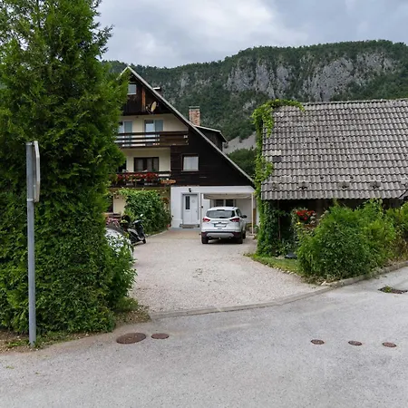 Maria With Free Parking Daire Bohinj