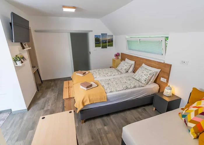 Maria With Free Parking アパート ボーヒニ