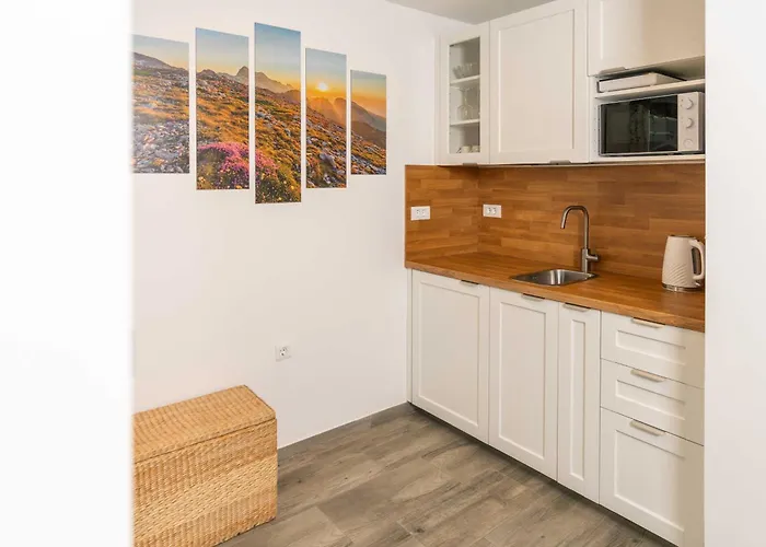 アパート Maria With Free Parking ボーヒニ