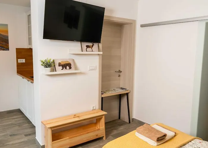 Maria With Free Parking アパート ボーヒニ