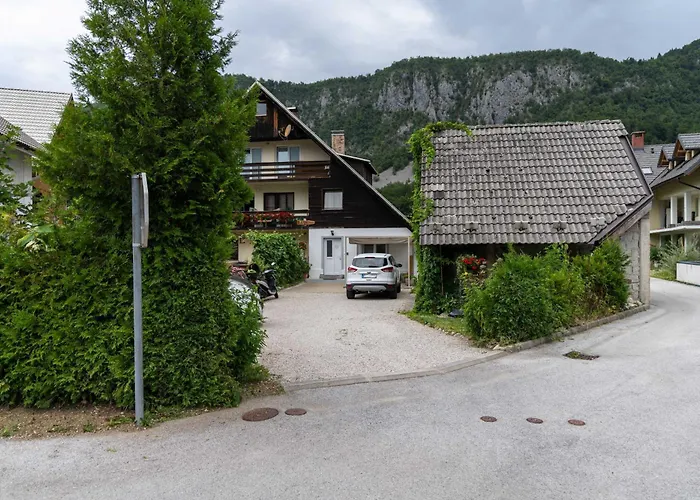 Maria With Free Parking アパート ボーヒニ